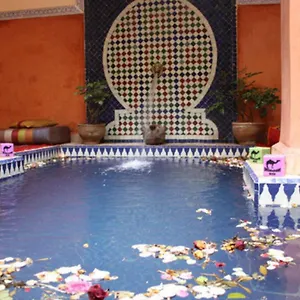 Bed & Breakfast Le Dromadaire Bleu By Weekome