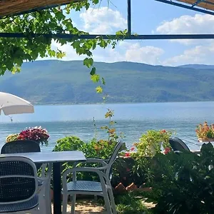 Nesti Relax , Lini Albanië
